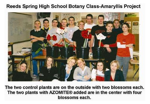 Rice Trial Indonesia